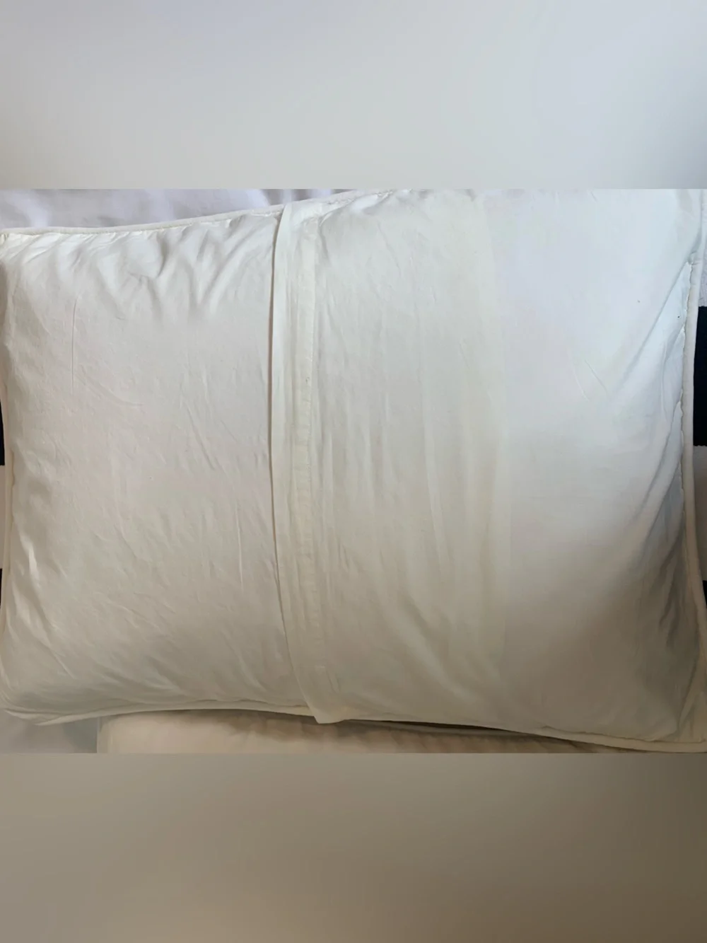 Pottery Barn Teen Ivory Velvet Stand Pillow Sham  Set of (2)